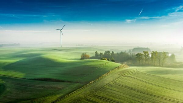 Le Green Deal européen: une stratégie de neutralité